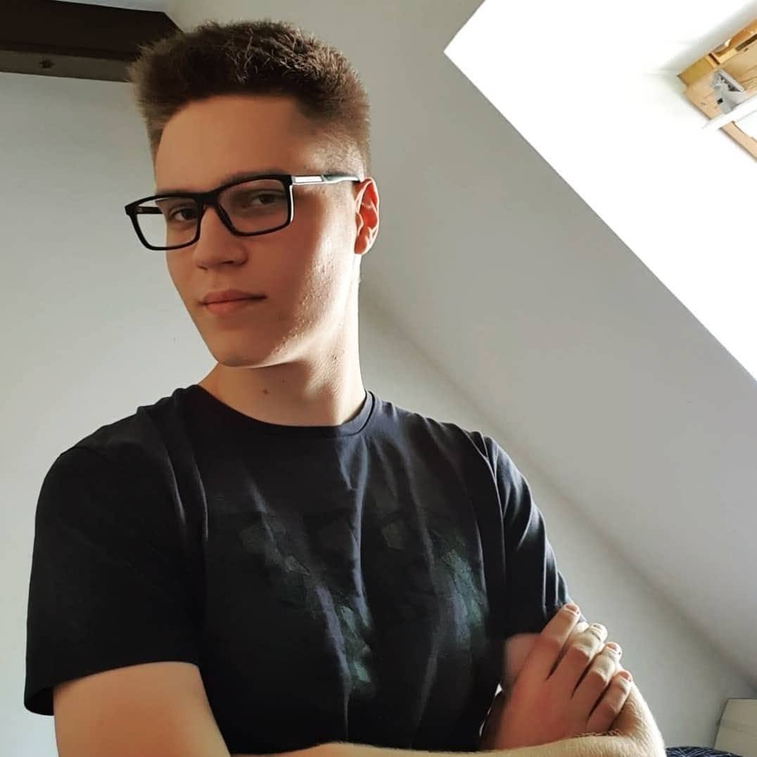 WordPress Developer